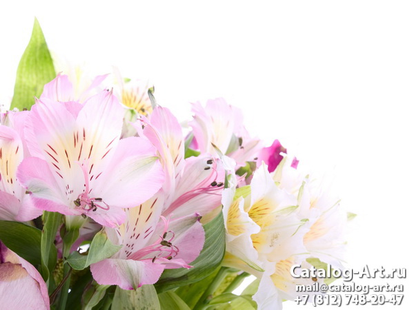 Pink lilies 22